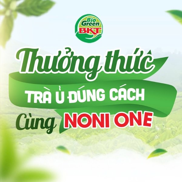 noni one, bkt green, ủ trà, cách ủ trà, ủ trà nhàu